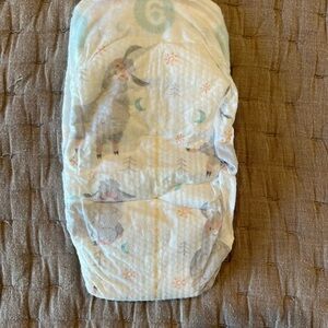 Kirkland Signature Kids Diapers with Animal Print